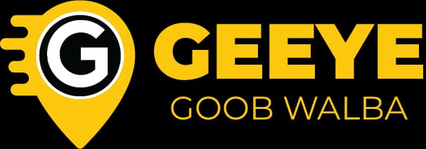 Geeye logo